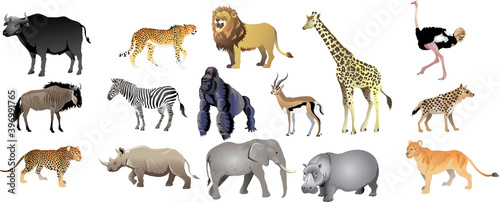 Photography African Wild Live Animal Set, Lion, Gnu, Elephant, Rhino - Vector