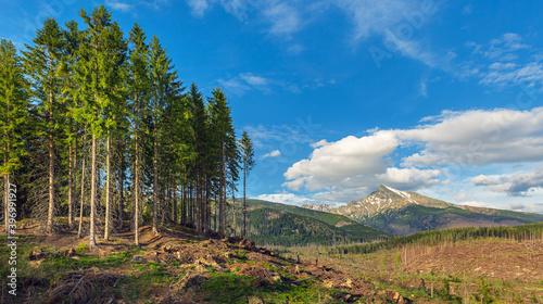 Obraz na płótnie nature, created by nature, view, sky, purity, untouched, pure, sunny, without humans, earth, innocence, flora, plants, planet earth, travel, realx, peace, rest, tranquility, vacation, freedom, space, w salonie