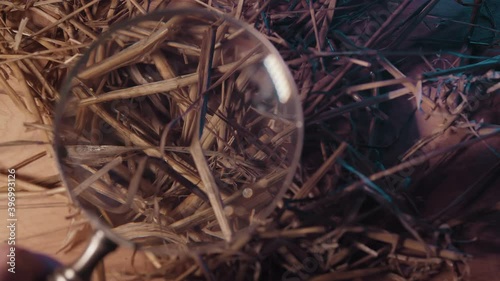 needle in a haystack looking