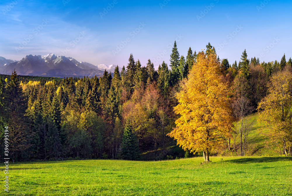 Colorful Carpathian mountains in Slovakia forest