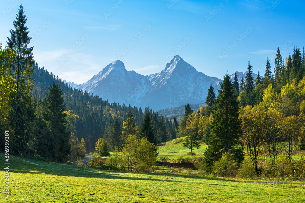 nature, created by nature, view, sky, purity, untouched, pure, sunny, without humans, earth, innocence, flora, plants, planet earth, travel, realx, peace, rest, tranquility, vacation, freedom, space,