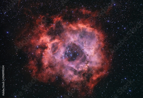 Fotografie, Obraz The Rosette nebula also known as Caldwell 49 with the Harp cluster at the centre