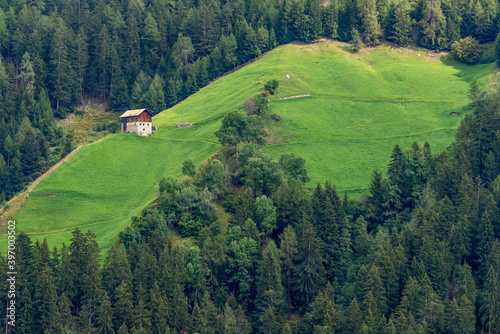 Fototapeta Naklejka Na Ścianę i Meble -  A mountain farm surrounded by green meadows and forest, Stelvio, South Tyrol, Italy