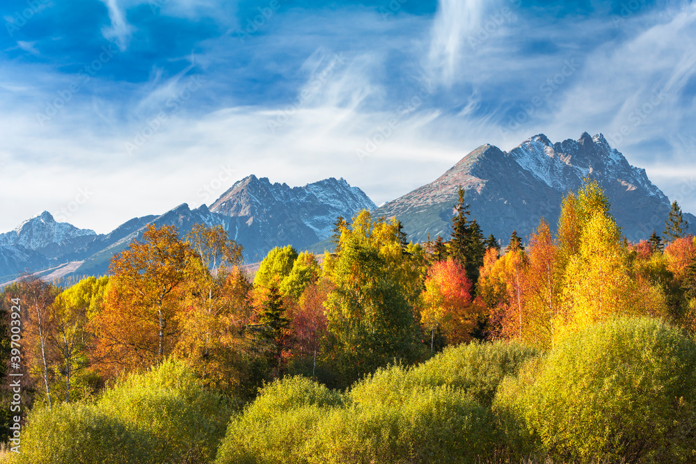 nature, created by nature, view, sky, purity, untouched, pure, sunny, without humans, earth, innocence, flora, plants, planet earth, travel, realx, peace, rest, tranquility, vacation, freedom, space,