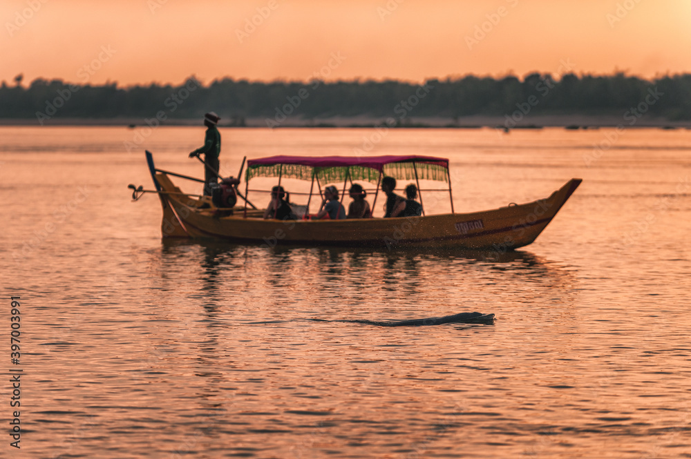 DOLPHIN WATCHING, MEKONG RIVER, KRATIE PROVINCE, CAMBODIA - 31 January 2012: Tourist on boat at sunset miss seeing the elusive irrawaddy dolphin. DOLPHIN WATCHING, MEKONG RIVER, KRATIE PROVINCE, CAMBODIA - 31 January 2012: Tourist on boat at sunset miss seeing the elusive irrawaddy dolphin.