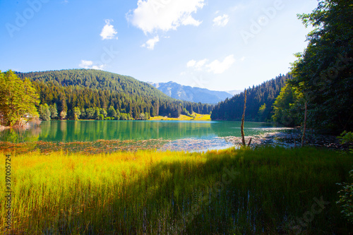 Artvin savsat karagol also known as Black lake with green forest and blue sky background and its reflection on lake photo