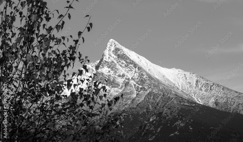 nature, created by nature, view, sky, purity, untouched, pure, sunny, without humans, earth, innocence, flora, plants, planet earth, travel, realx, peace, rest, tranquility, vacation, freedom, space,