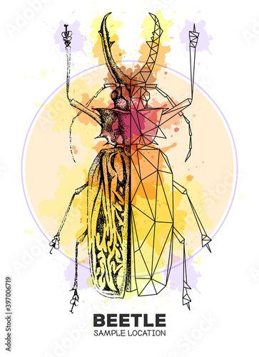 Realistic hand drawing and polygonal Sabertooth Longhorn beetle on watercolor background. Artistic Bug. Entomological vector illustration