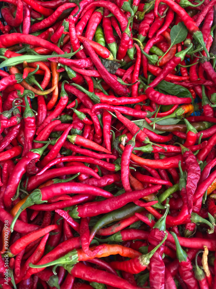 Farmers' market: red chili peppers Farmers' market: red chili peppers