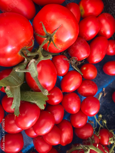 Farmers' market: heaps of fresh tomatoes for sale photo