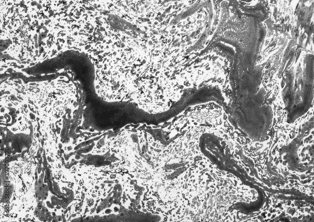 Obraz premium Marmurowe kamienne czarno białe tło i tekstura.