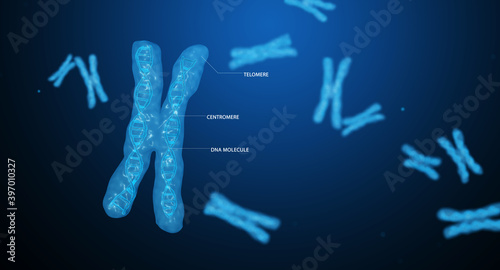 Genetics research x chromosome. Centromere, DNA, telomere. 3D render
