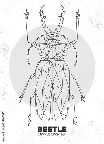 Abstract polygonal triangle Sabertooth Longhorn beetle. Artistic Bug. Entomological vector illustration