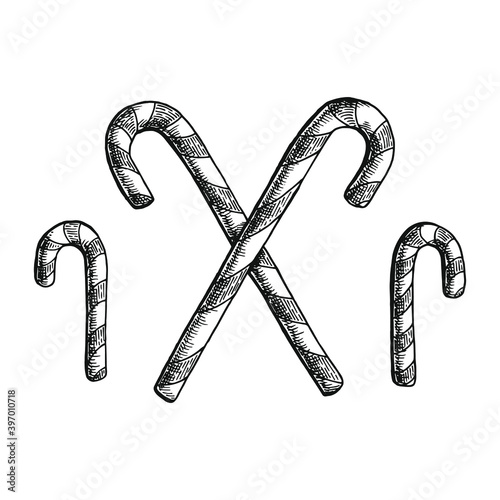 Hand drawn black and white crosshatch vector illustration of Candy canes, placed in a decorative way. No background.