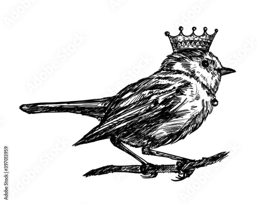 sketch of crown bird hand draw