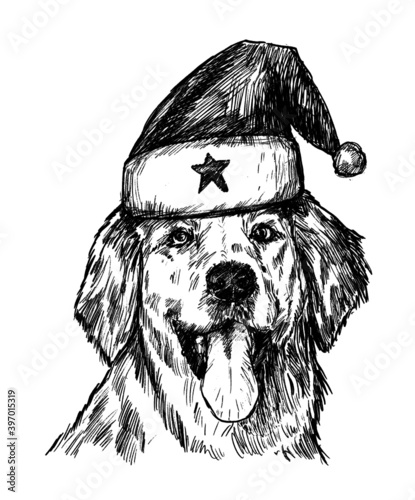sketch of the dog ware christmas’s hat hand draw