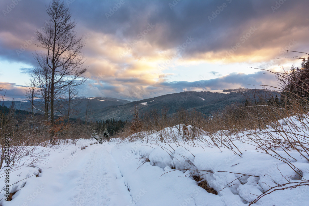 Winter, active vacation in the Carpathians with picturesque houses and lots of snow. Winter, active vacation in the Carpathians with picturesque houses and lots of snow.