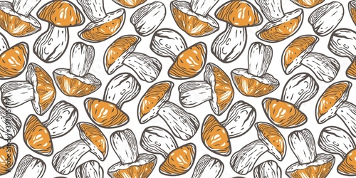Colored seamless pattern wallpaper. Vector illustration of boletus. Autumn mushroom picking for vegan food and cooking design