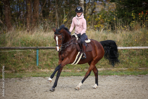 Horse brown galloping with a laughing rider during training.. © RD-Fotografie