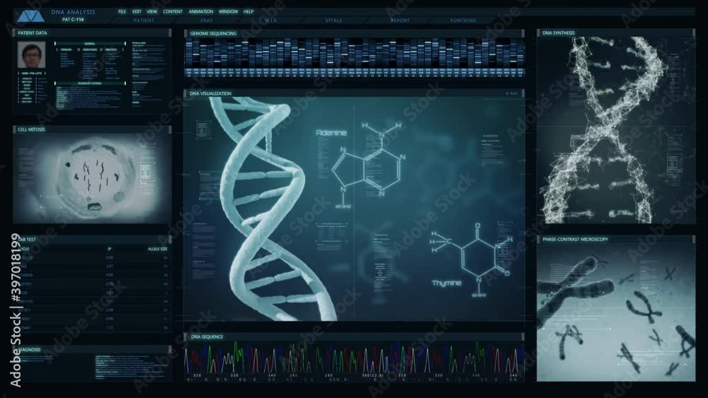 
Futuristic technological interface analyzing human DNA. Medical profile of patient showing, genome sequence, DNA visualization, cell mitosis, chromosome animation. Healthcare information.