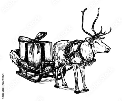 Drawing of the reindeer wih sleigh hand draw
