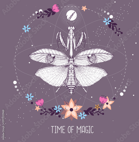Modern magic witchcraft taros card with praying mantis on astrology background. Vector illustration