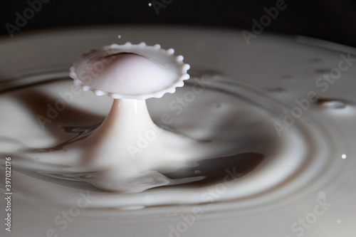 Milk in a bowl, with red tinged milk dropping to collide. photo