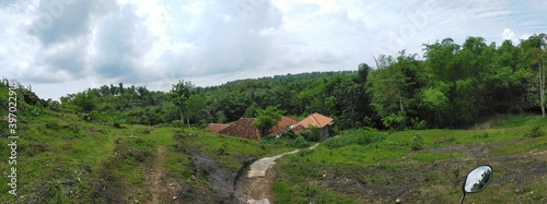 landscape with grass and sky