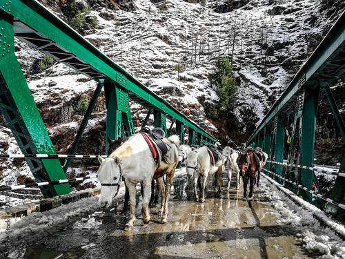 horses and bridge photo