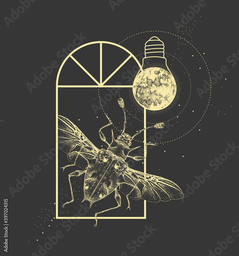 Magic witchcraft window silhouette with Endomychidae beetle and full moon like light bulb. Vector illustration photo