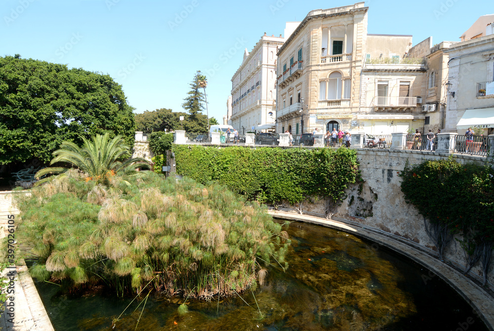 Obraz premium Syracuse / Italy – August 30, 2018: the Fonte Aretusa is one of the most beautiful monuments in Ortigia. In the fountain is set the legend of Aretusa and Alfeo, a Greek myth of Syracuse. 