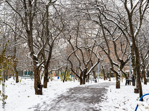footpath in city park covered by the first snow in on cold autumn day © Ekaterina