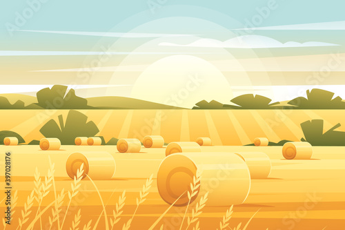 Rural morning landscape with hills and dales agricultural fields with roll of hay flat vector illustration