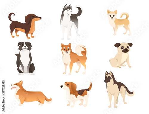 Set of cute domestic dog characters cartoon animal design flat vector illustration © An-Maler