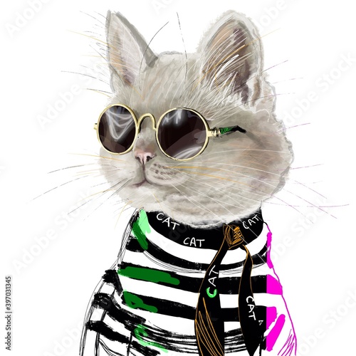 Hand-drawn funny stylized fashion illustration of an American Shorthair fashionista cat in a trendy outfit: in a striped sweatshirt with a Cat signing and sunglasses. Gift Postcard for cat lovers photo