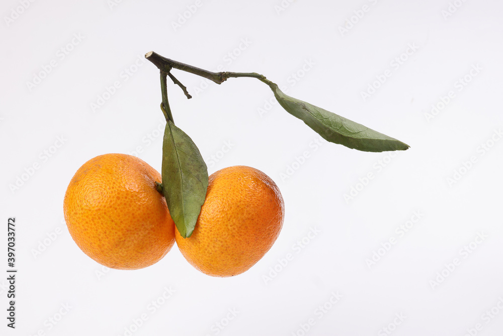 Two mandarin orange green leaf hang on white background Two mandarin orange green leaf hang on white background