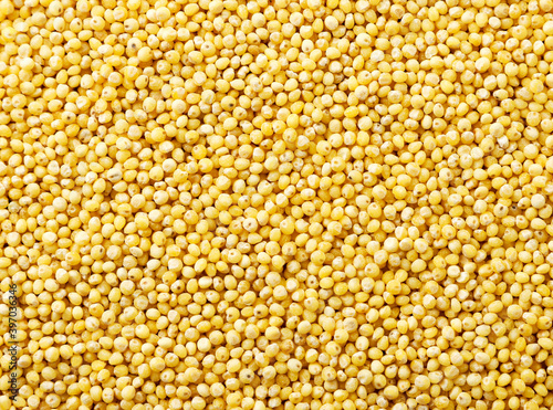 Yellow millet background. The view from top