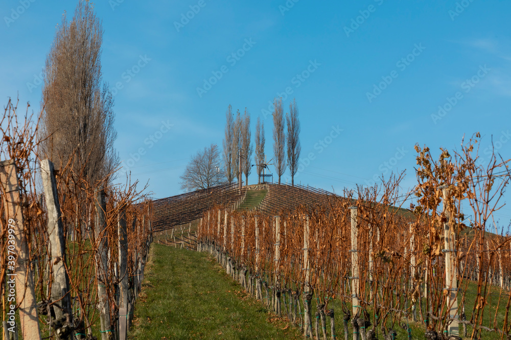 autumn in southern styria, an old wine growing country in austria named südsteirische weinstrasse. vineyard with windmill called klapotetz autumn in southern styria, an old wine growing country in austria named südsteirische weinstrasse. vineyard with windmill called klapotetz