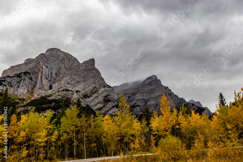 Fall colours at the base of Mount Galatea. Spray Valley Provincal Park, Alberta, Canada photo