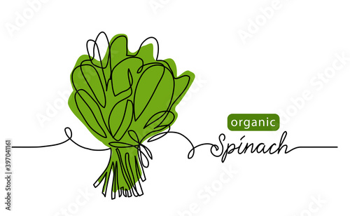 Spinach, organic green leaf, salad bunch. Vector illustration, background. One line drawing art illustration with lettering organic spinach.