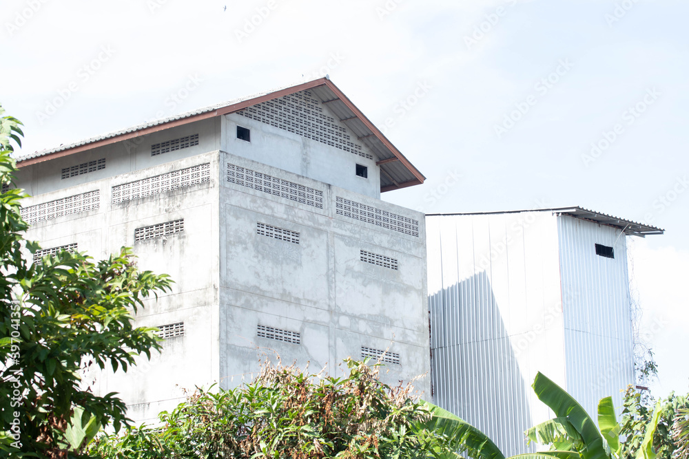 Swallow houses are used for farming and harvesting edible bird nests. StockFoto Adobe Stock