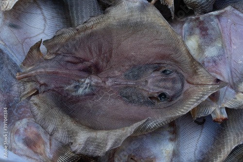 Dried salted fish in the sun