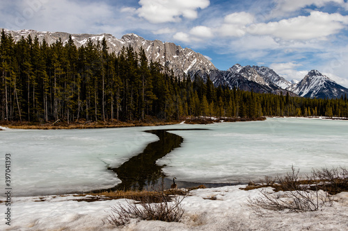 Water showing through Upper Lake. Peter Lougheed Provincial Park,  Alberta, Canada photo