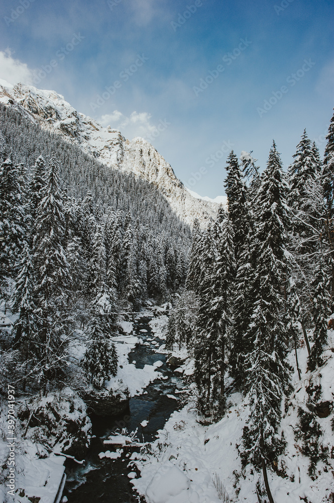 Snow covered mountain valley with a river and a pine forest