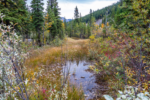 Small pond at Mount Lorette Ponds. Bow Valley Wilderness Area, Alberta, Canada photo