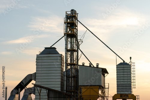 silver silos on agro manufacturing plant for processing drying cleaning and storage of agricultural products, flour, cereals and grain. Large iron barrels of grain. Granary elevator