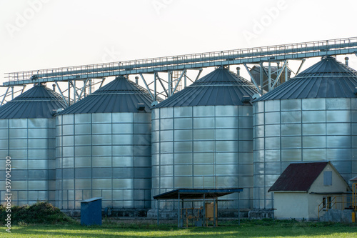 Wallpaper Mural silver silos on agro manufacturing plant for processing drying cleaning and storage of agricultural products, flour, cereals and grain. Large iron barrels of grain. Granary elevator Torontodigital.ca