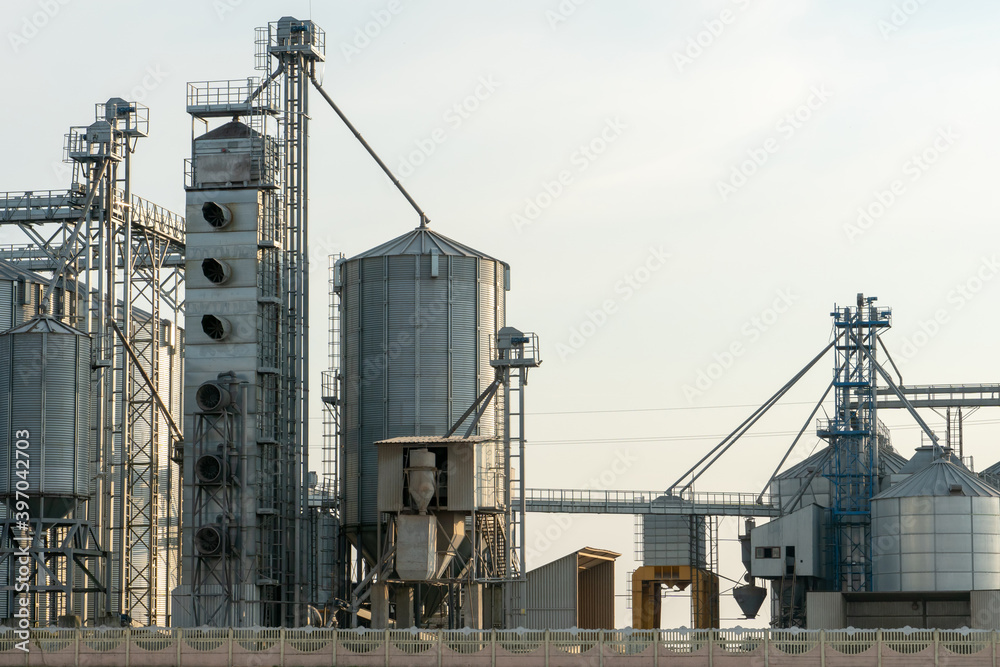 Obraz premium silver silos on agro manufacturing plant for processing drying cleaning and storage of agricultural products, flour, cereals and grain. Large iron barrels of grain. Granary elevator