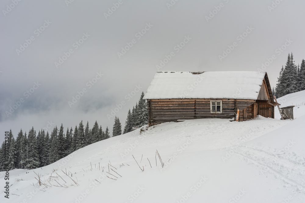 Winter Carpathian mountains in cloudy weather with foggy forests