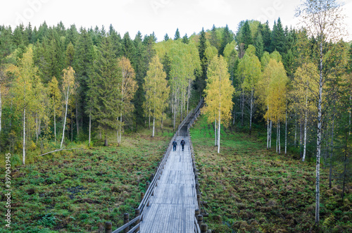 Wooden bridge on stilts through the wetlands. Open-air museum 